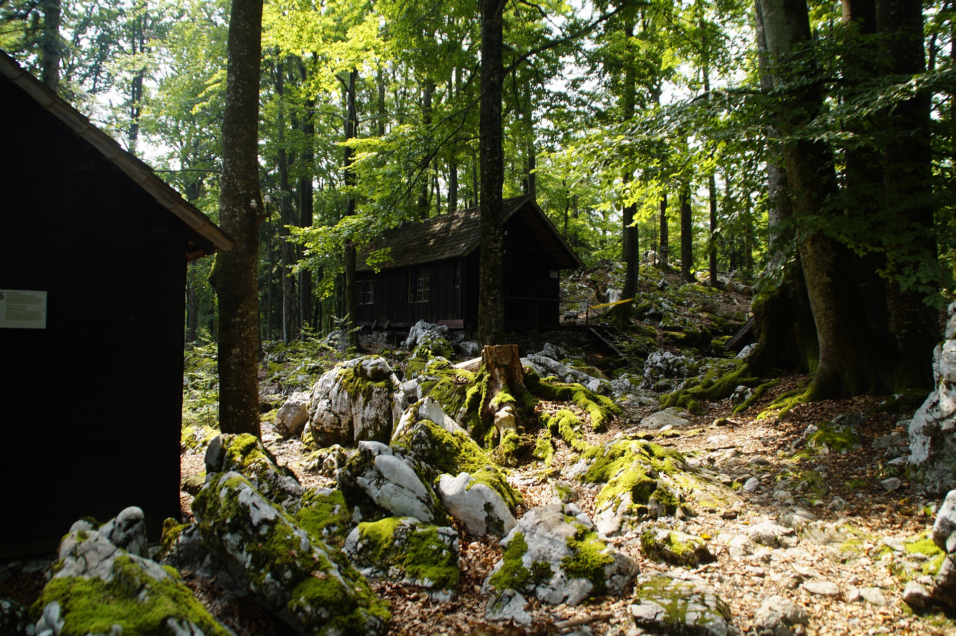 Bild von Holzhütten in einem Wald: ein Partisanenlager